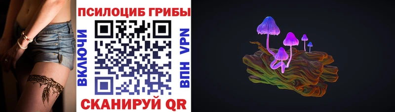 цена   Белокуриха  Псилоцибиновые грибы MAGIC MUSHROOMS 